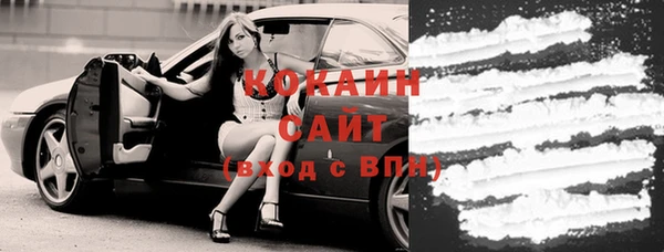 apvp Алексин