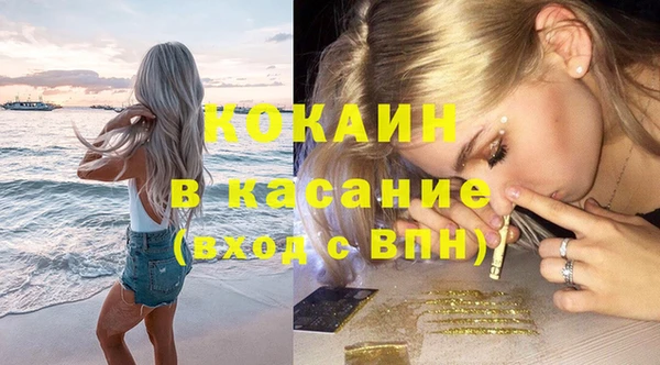 соль ск Алзамай